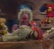 Gobo's Discovery