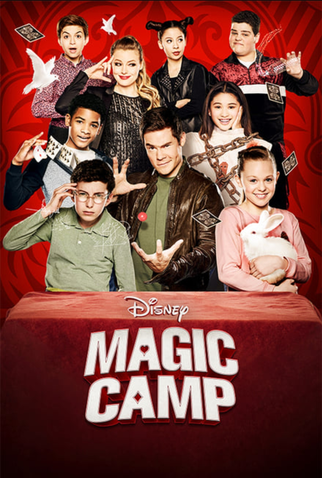 Poster 2 de Filme Campo de Magia (2020)