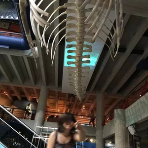 Foto de perfil de Beatriz