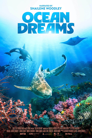 Poster de Filme Ocean Dreams (2026)