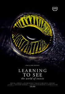 Learning to See: The World of Insects (Learning to See: The World of Insects)