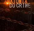 Anatomia do Crime (2ª Temporada)
