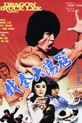 Poster de Filme Dragon Bruce Lee II (1981)