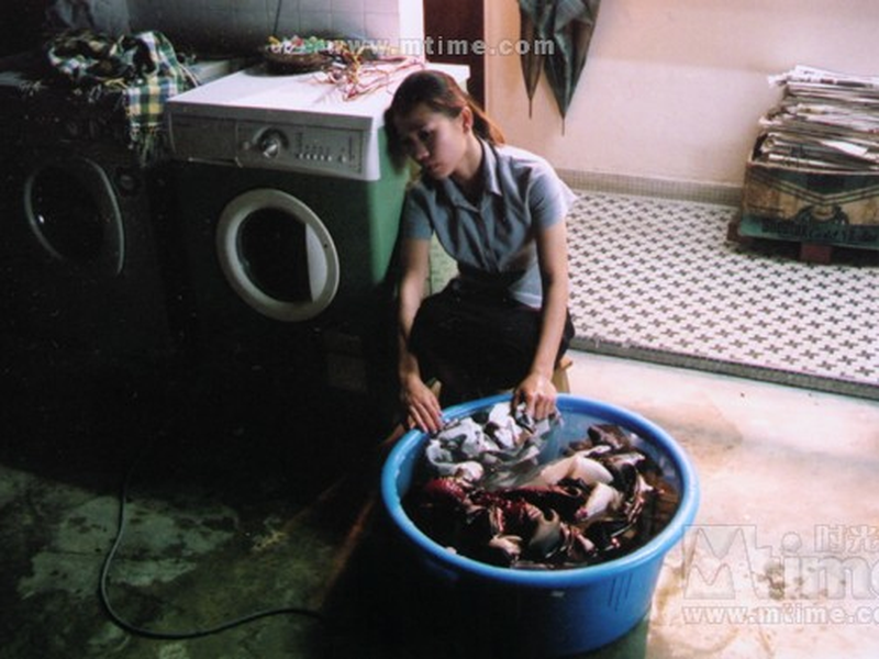 Foto 2 de The Beautiful Washing Machine