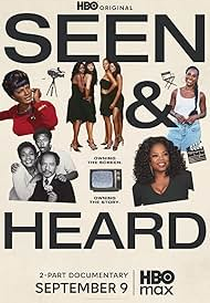 Seen & Heard: The History of Black Television (Seen & Heard: The History of Black Television)