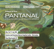 Pantanal - A Boa Inocência de Nossas Origens