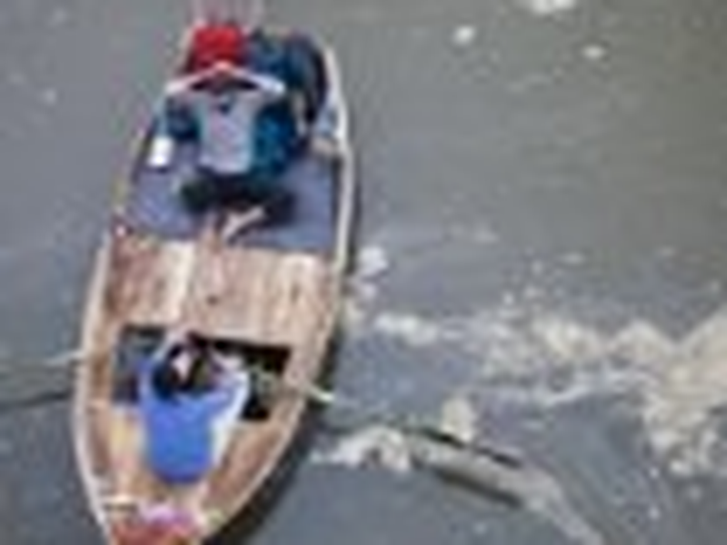 Foto 1 de Go Ganges!