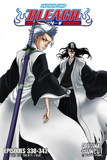 Bleach (15ª Temporada) (ブリーチ シーズン15)