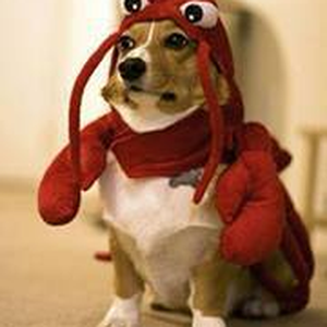 Foto de perfil de Gabriel