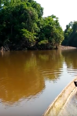 Águas do Juruá (Águas do Juruá)