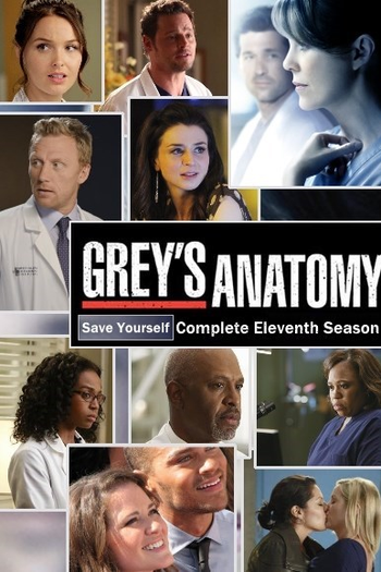  de Série A Anatomia de Grey (11ª Temporada) (2014)