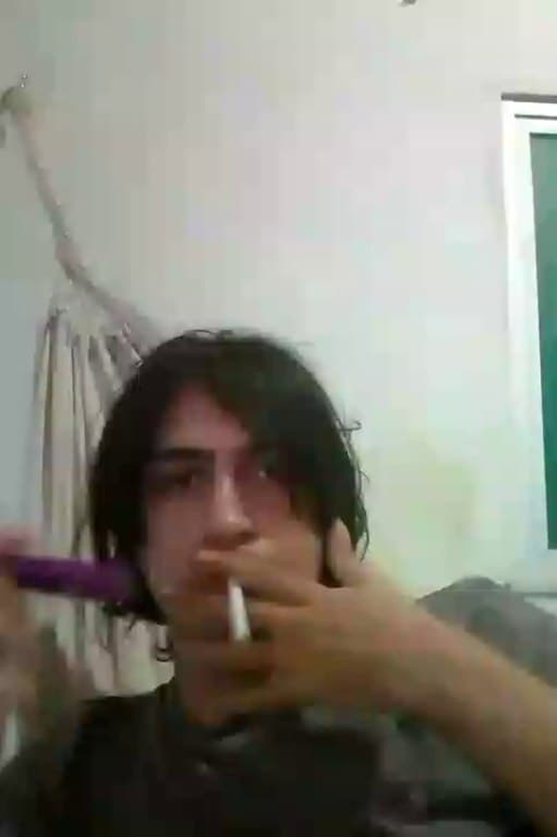 Cani - Foto 1