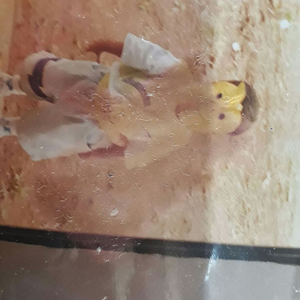 Foto de perfil de Julian