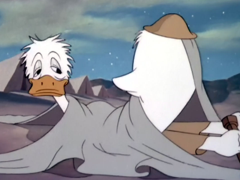 Foto 1 de Fall Out-Fall in 