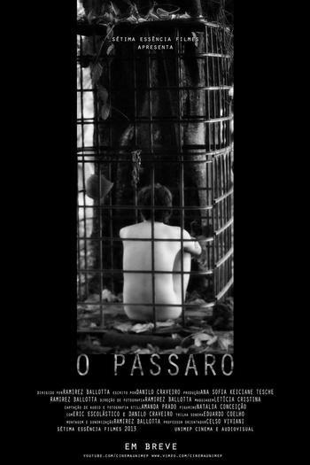 Poster de Curta O Pássaro (2013)
