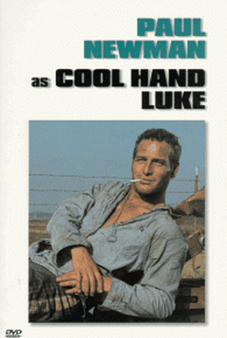 Poster 3 de Filme Rebeldia Indomável (1967)