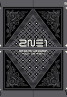 2NE1 - 1st Live Concert Nolza (2NE1 - 1st Live Concert Nolza)