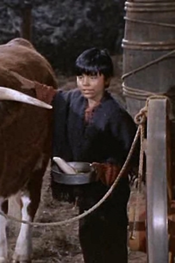 Poster de Episódio El Toro Grande (1960)
