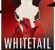 Whitetail