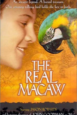 Mac Na Trilha do Tesouro (The Real Macaw)