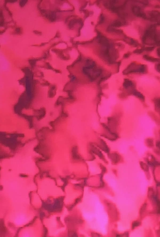 Poster 1 de Curta Isz (2003)