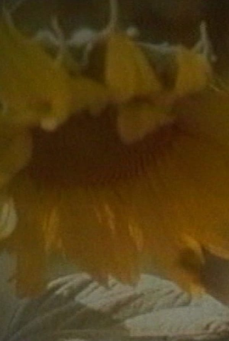 Poster 1 de Filme Beating (1995)