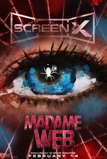 Madame Teia - Poster / Capa / Cartaz - Oficial 17