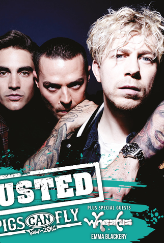 Poster 1 de Filme Busted: Pigs Can Fly Tour (2016)