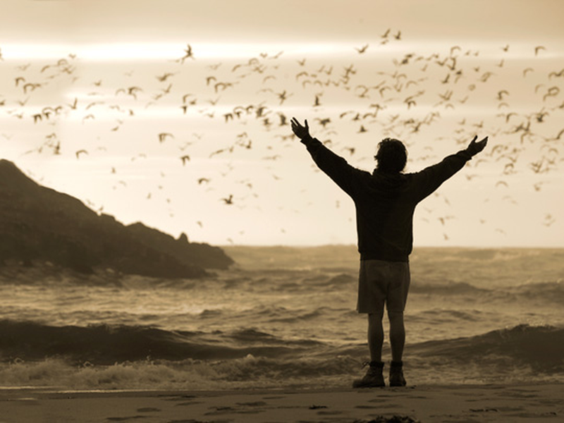 Foto 6 de Na Natureza Selvagem