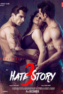 Hate Story 3 - Poster / Capa / Cartaz - Oficial 1