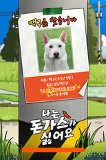 나는 돈가스가 싫어요 (나는 돈가스가 싫어요)