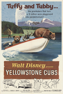 Os Ursinhos de Yellowstone - Poster / Capa / Cartaz - Oficial 1