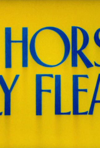 Poster 1 de Curta Rebelião dos Índios (1947)