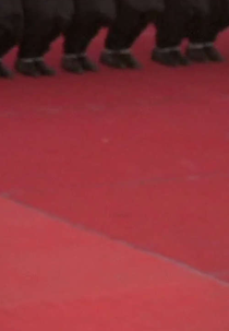 Concrete Parlay (Concrete Parlay)