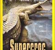 National Geographic - SuperCroc