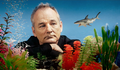 [CINEMA] Bill Murray: mito faz 64 anos!