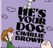Ele É Seu Cachorro, Charlie Brown