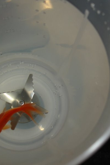  de Curta Pelo Olho do Peixe Gordo (2008)