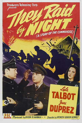 Poster de Filme They Raid by Night (1942)