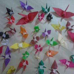 Foto de perfil de Camila