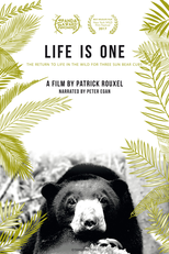 Life Is One (Life Is One)