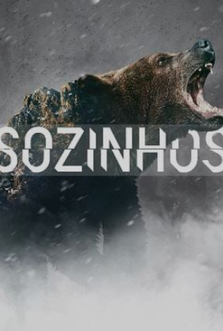 Poster 1 de Série Sozinhos (1ª Temporada) (2015)