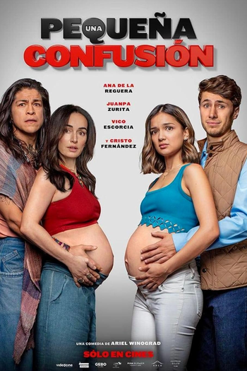 Poster de Filme Uma Pequena Confusão (2024)