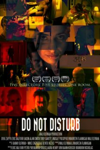 Poster de Filme Do Not Disturb (2011)
