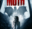 Moth