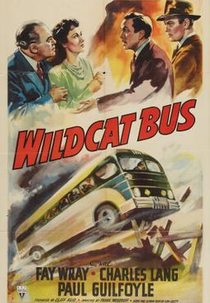 Wildcat Bus (Wildcat Bus)