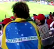 Um Torcedor Brasileiro na Copa