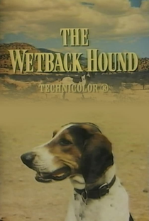 The Wetback Hound - Poster / Capa / Cartaz - Oficial 1