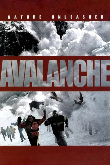 Poster de Filme Avalanche (2004)