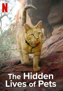A Vida Secreta dos Nossos Animais (Theo Hidden Livae of Pets)